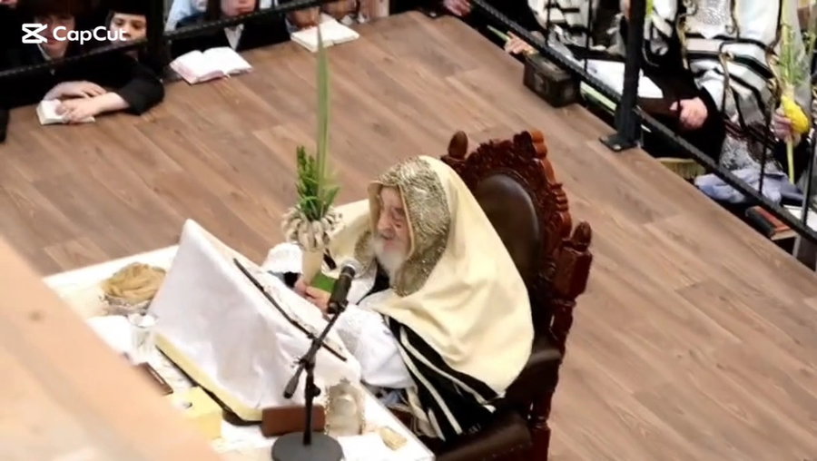 הושענא רבה ושמחת תורה בצל האדמו"ר מויז'ניץ