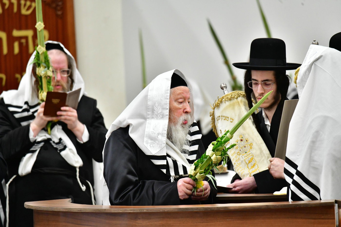 הושענא רבה בחצה"ק גור