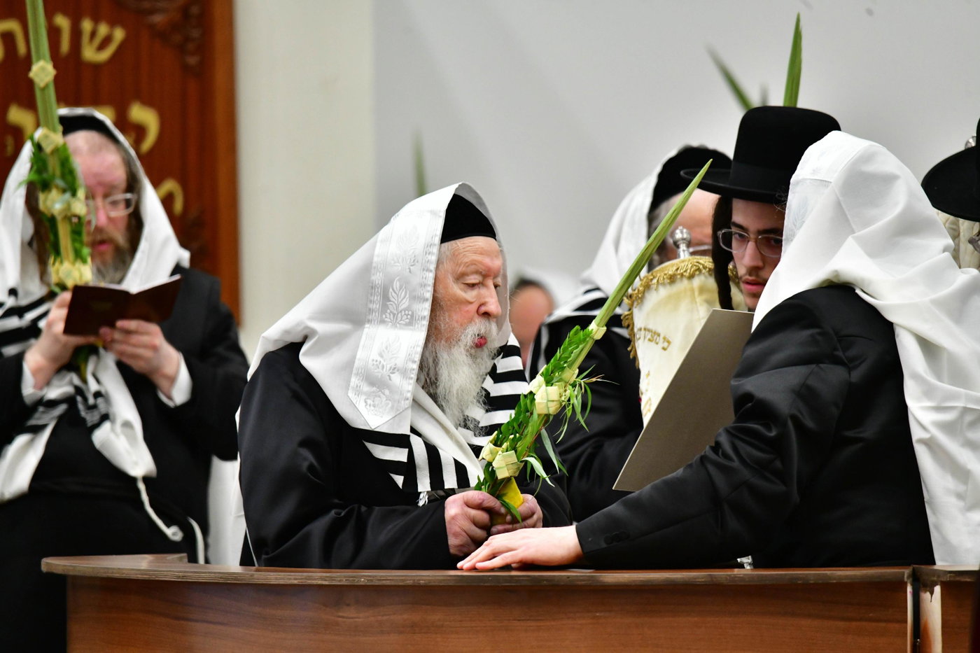 הושענא רבה בחצה"ק גור
