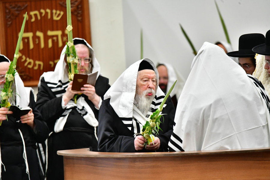 פני מלך; צפו בתיעוד העוצמתי מהושענא רבה והקפות שניות בצל האדמו"ר מגור