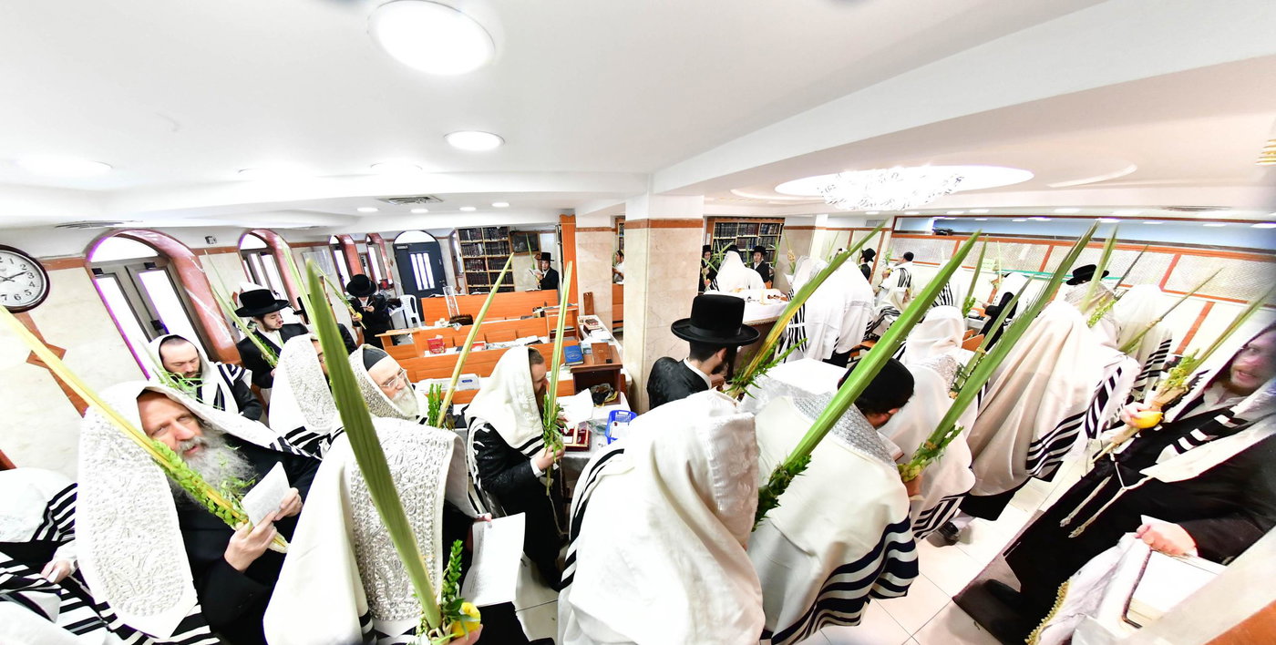 הושענא רבה אצל האדמו"ר מקופיטשניץ