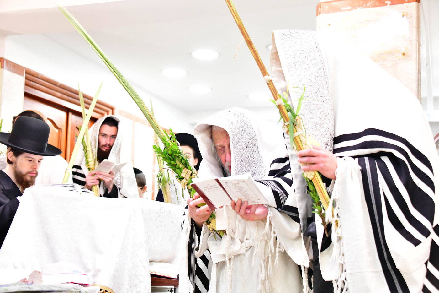 הושענא רבה אצל האדמו"ר מקופיטשניץ
