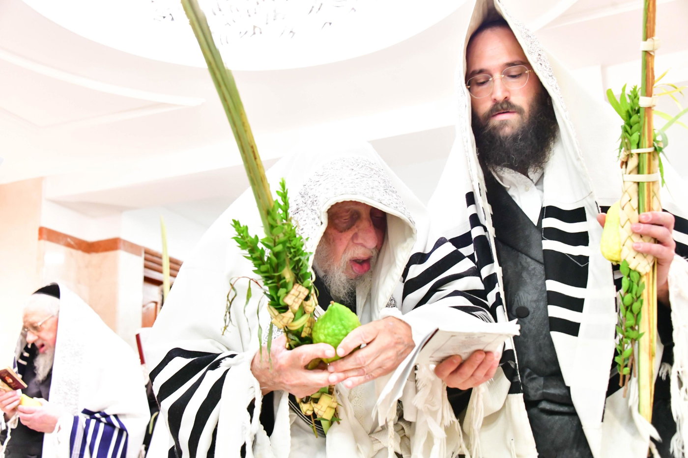הושענא רבה אצל האדמו"ר מקופיטשניץ
