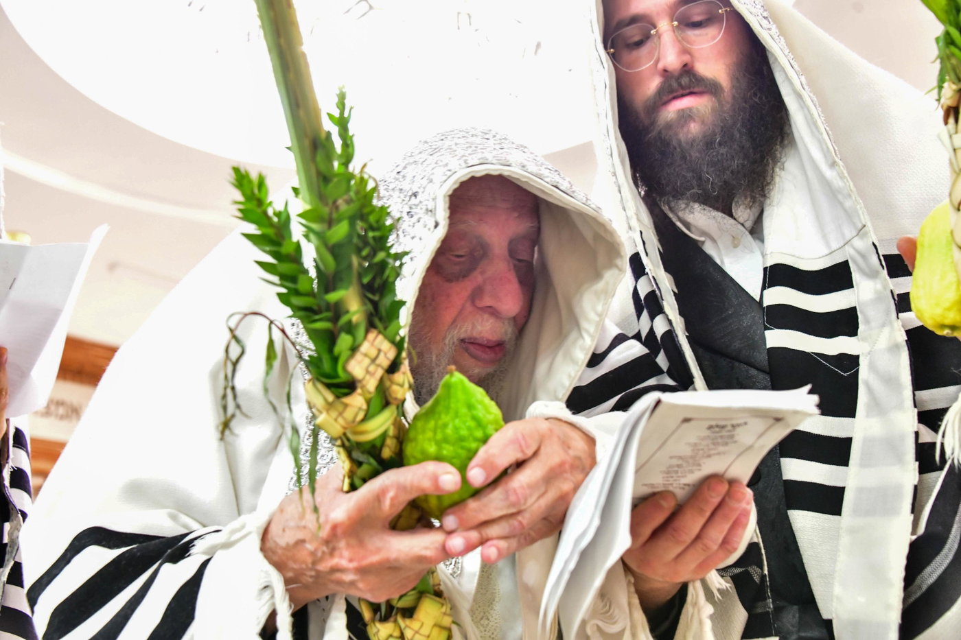 הושענא רבה אצל האדמו"ר מקופיטשניץ