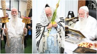 מלפידים ועד ארבעת המינים; כל רגעי ההוד של החג בצל הגרי"ד גרוסמן