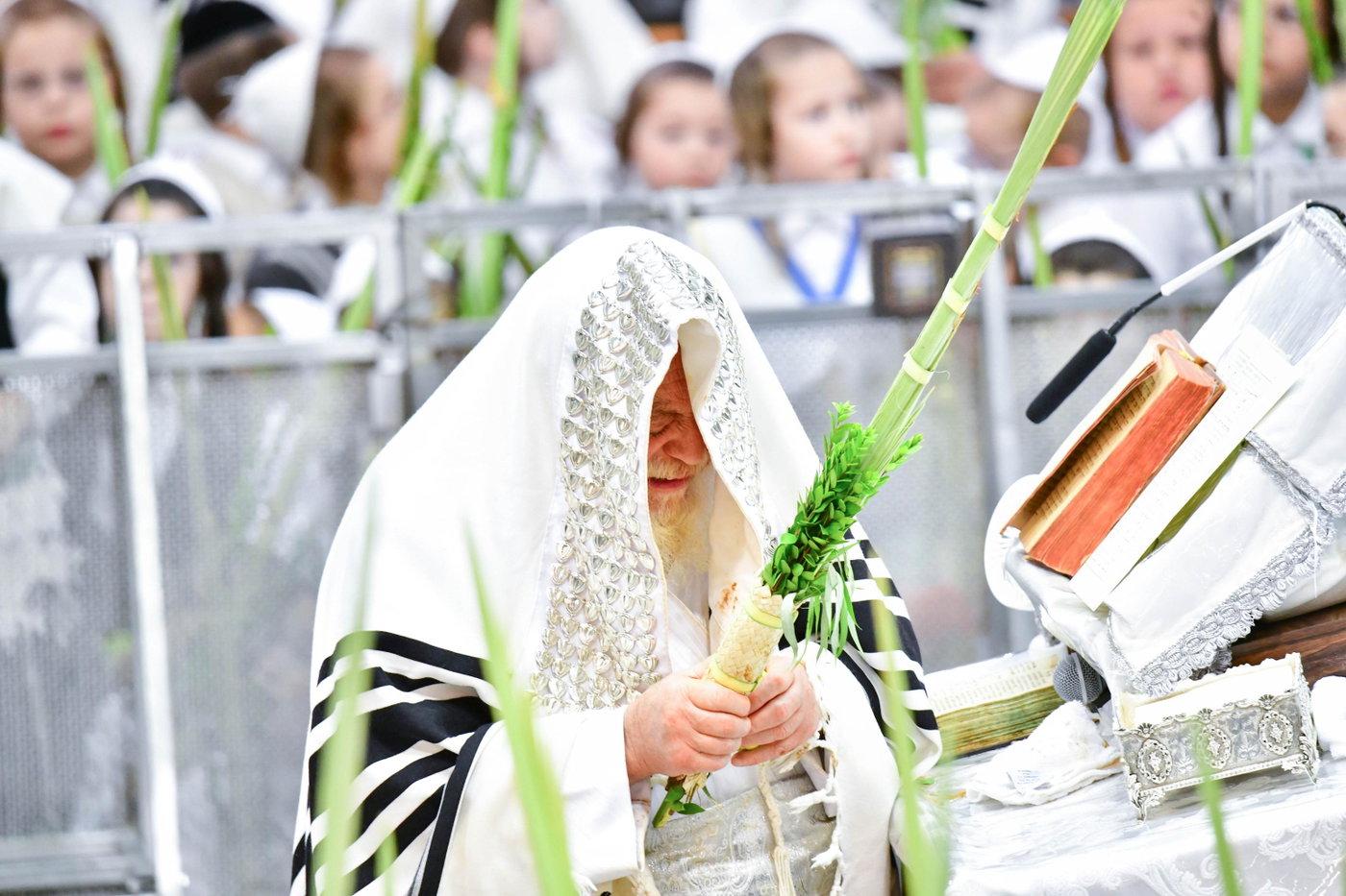 הושענא רבה בחצה"ק תולדות אהרן