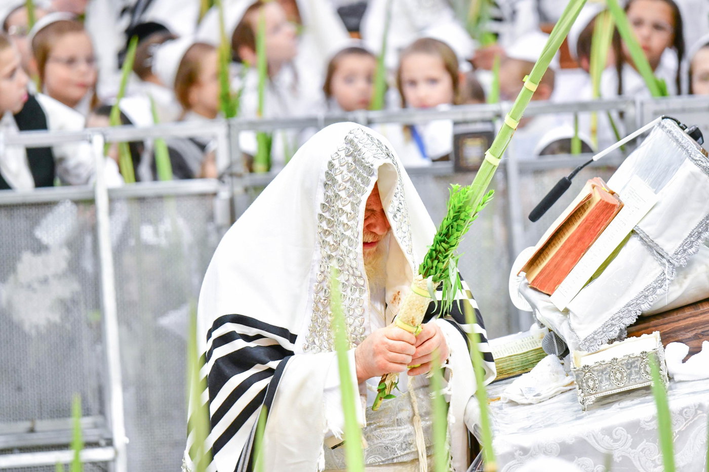הושענא רבה בחצה"ק תולדות אהרן