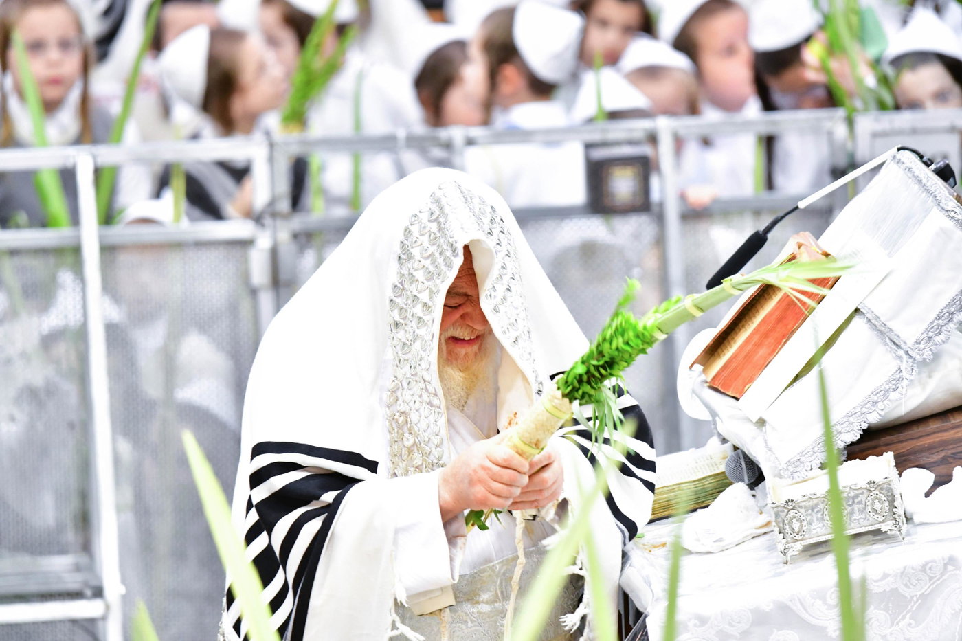 הושענא רבה בחצה"ק תולדות אהרן