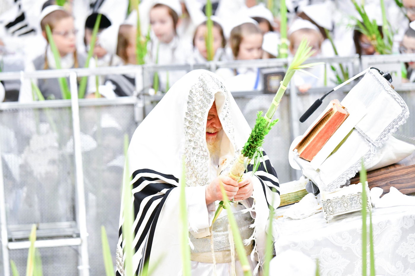 הושענא רבה בחצה"ק תולדות אהרן