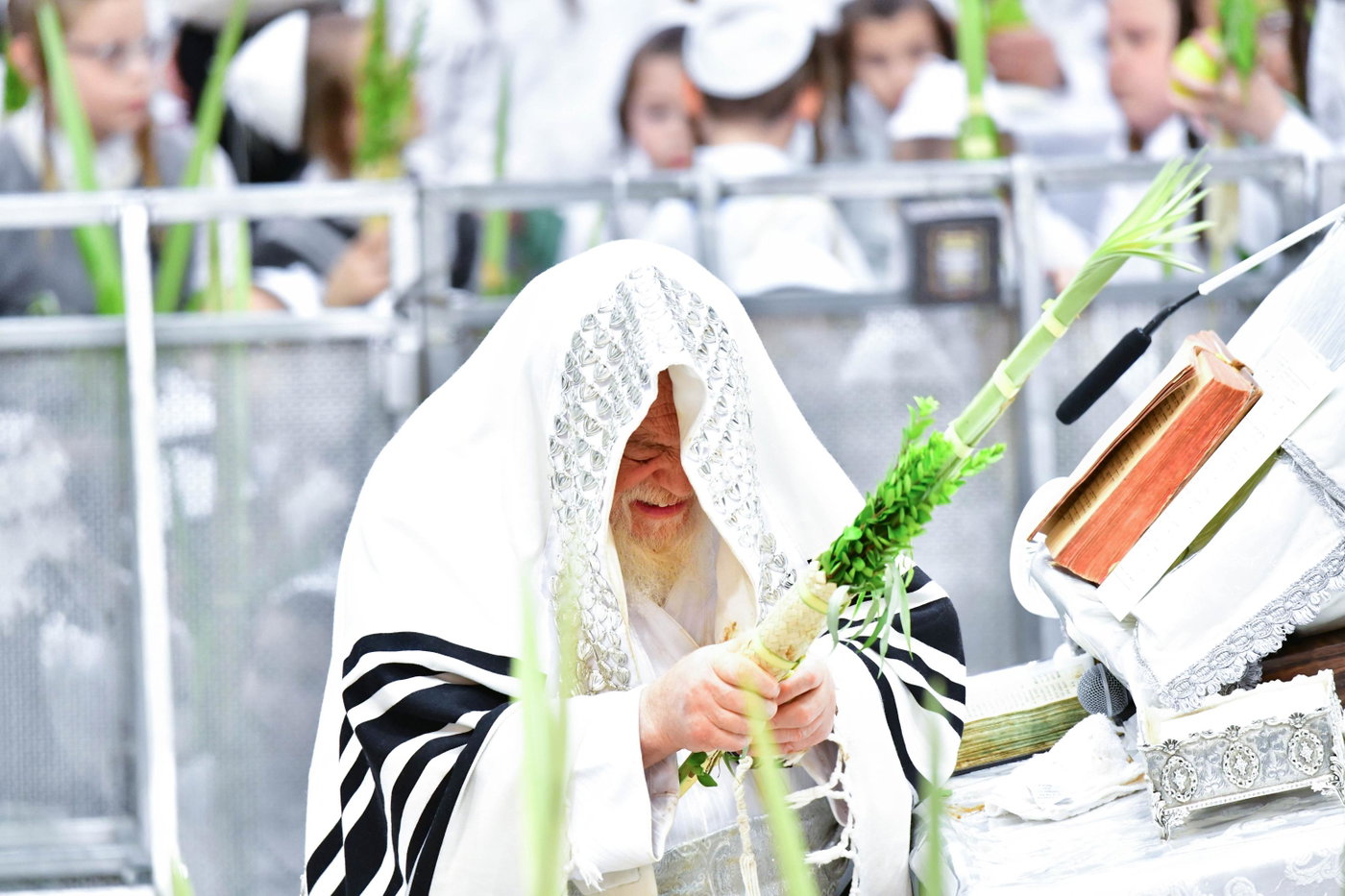 הושענא רבה בחצה"ק תולדות אהרן