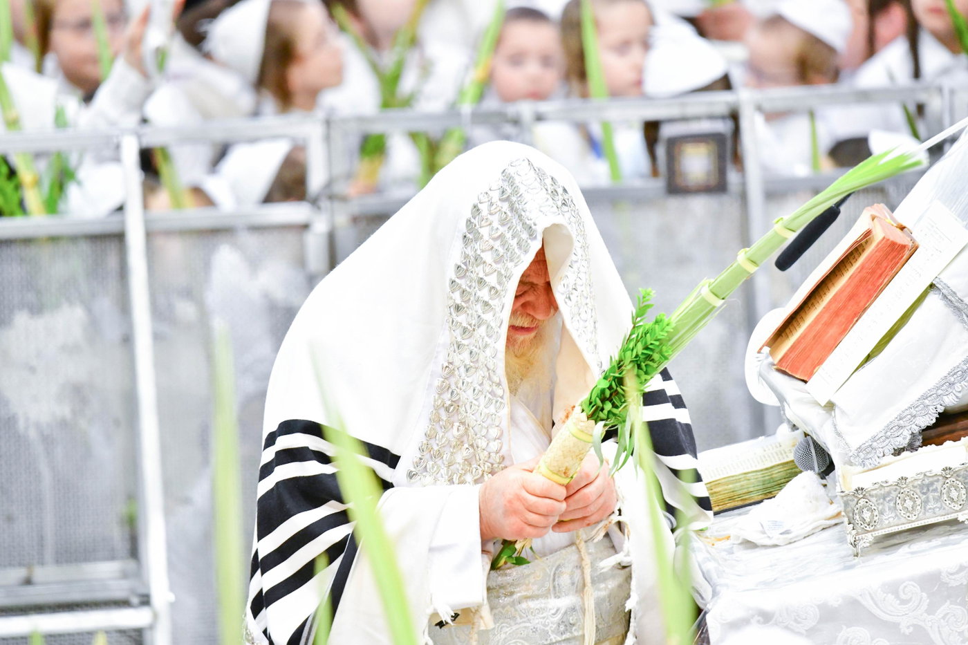 הושענא רבה בחצה"ק תולדות אהרן
