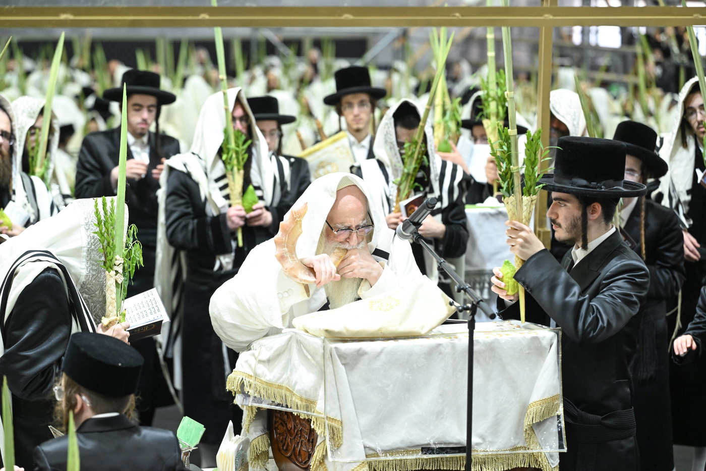הושענא רבה בחצה"ק צאנז