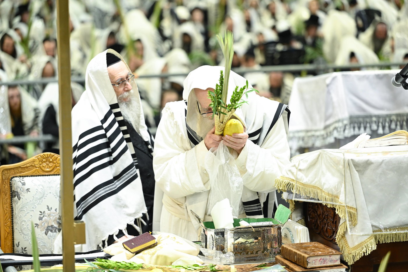 הושענא רבה בחצה"ק צאנז
