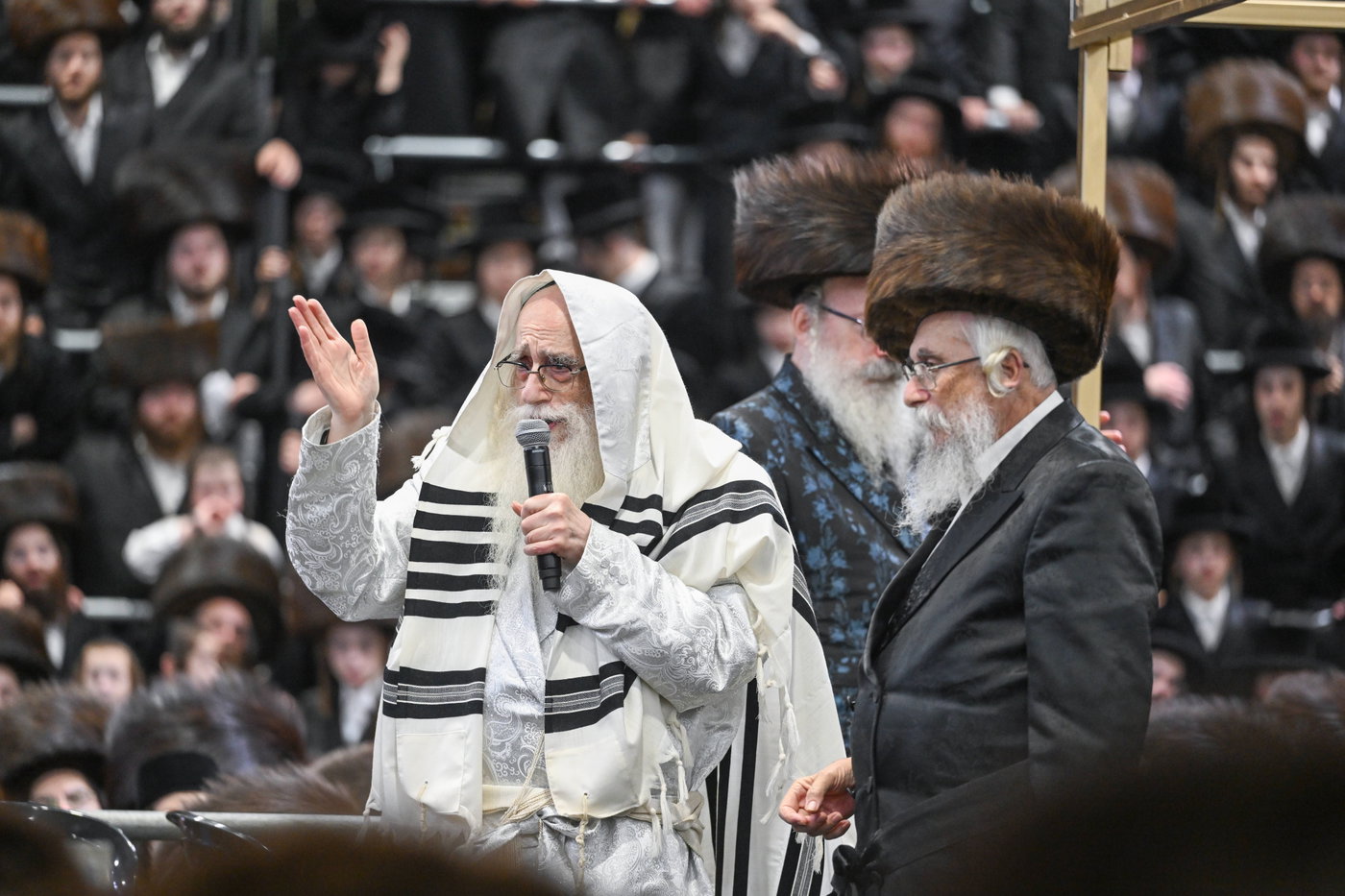 הקפות שניות בחצה"ק צאנז