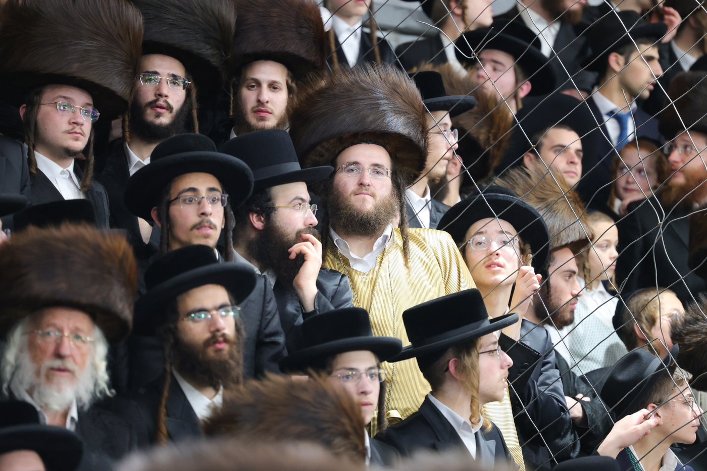 הקפות שניות אצל הגרי"מ שכטר