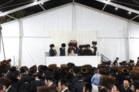 הקפות שניות אצל הגרי"מ שכטר