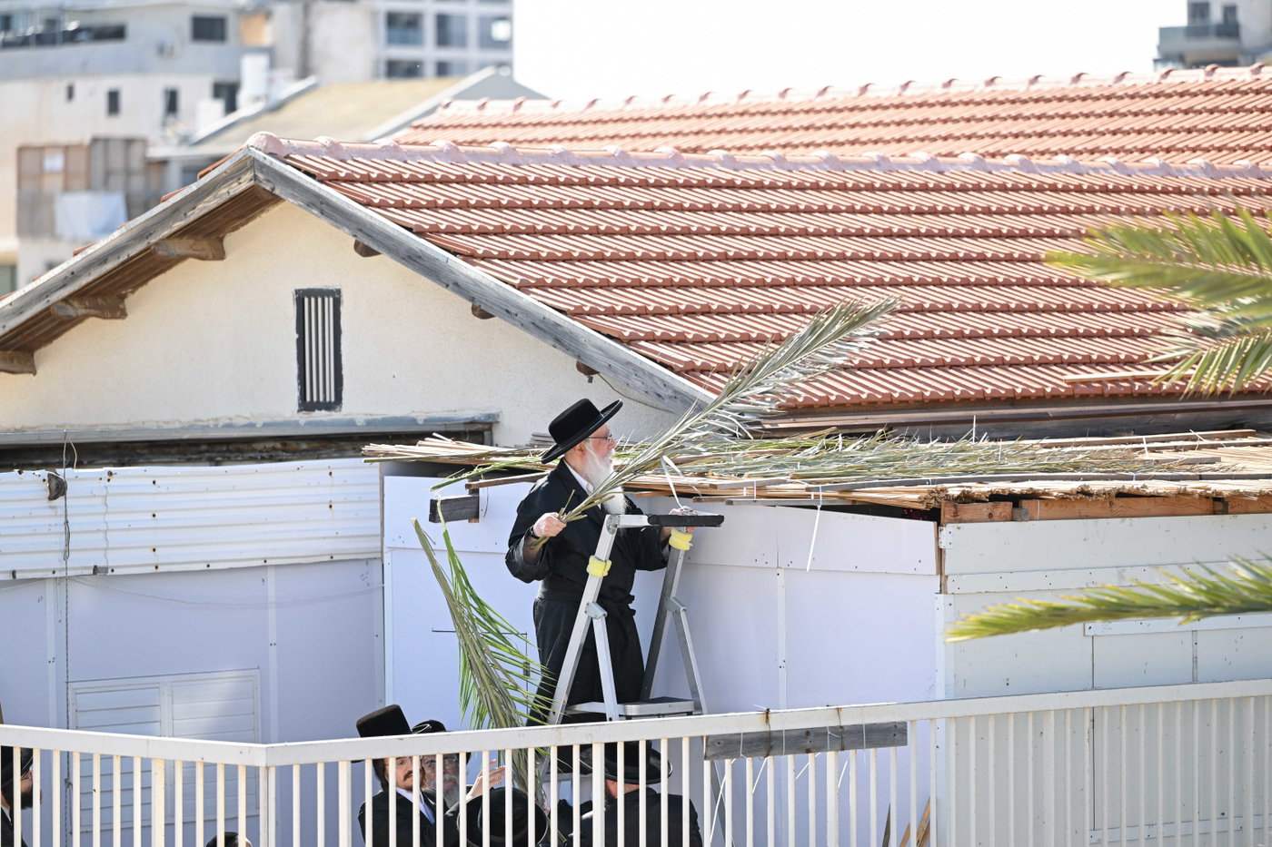 סוכות בחצה"ק צאנז