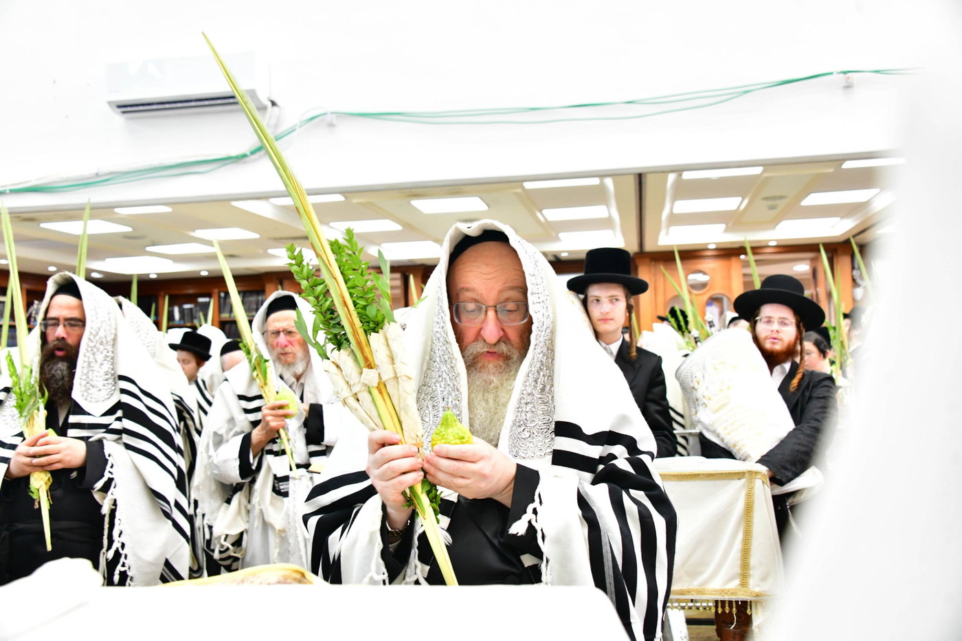 הושענא רבה אצל האדמו"ר מביאלה