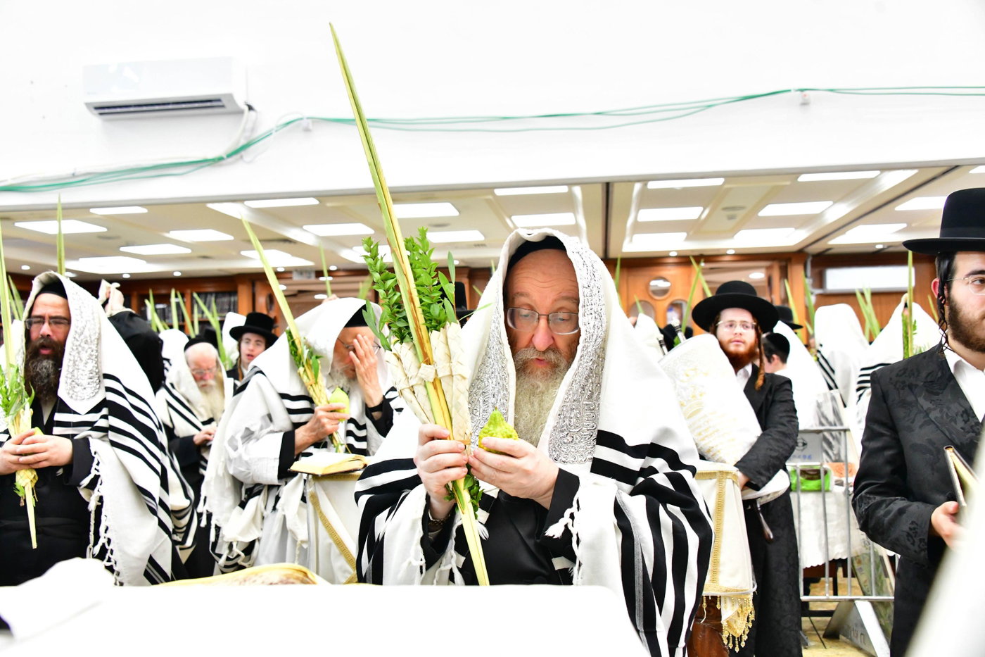הושענא רבה אצל האדמו"ר מביאלה