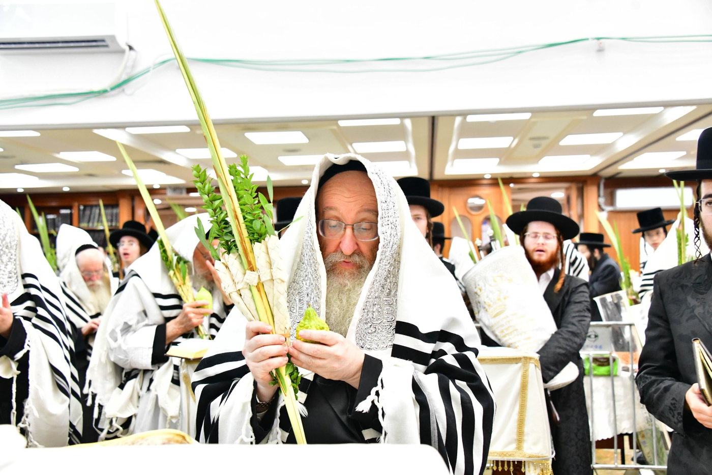הושענא רבה אצל האדמו"ר מביאלה