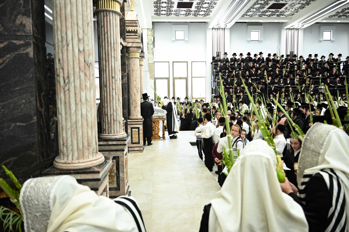 האדמו"ר מצאנז בעבודת הנענועים