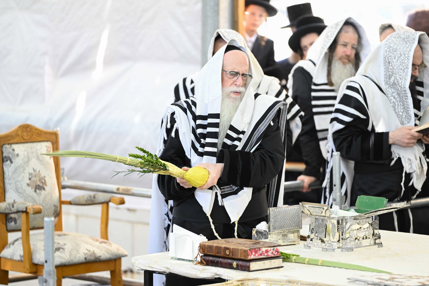 האדמו"ר מצאנז בעבודת הנענועים