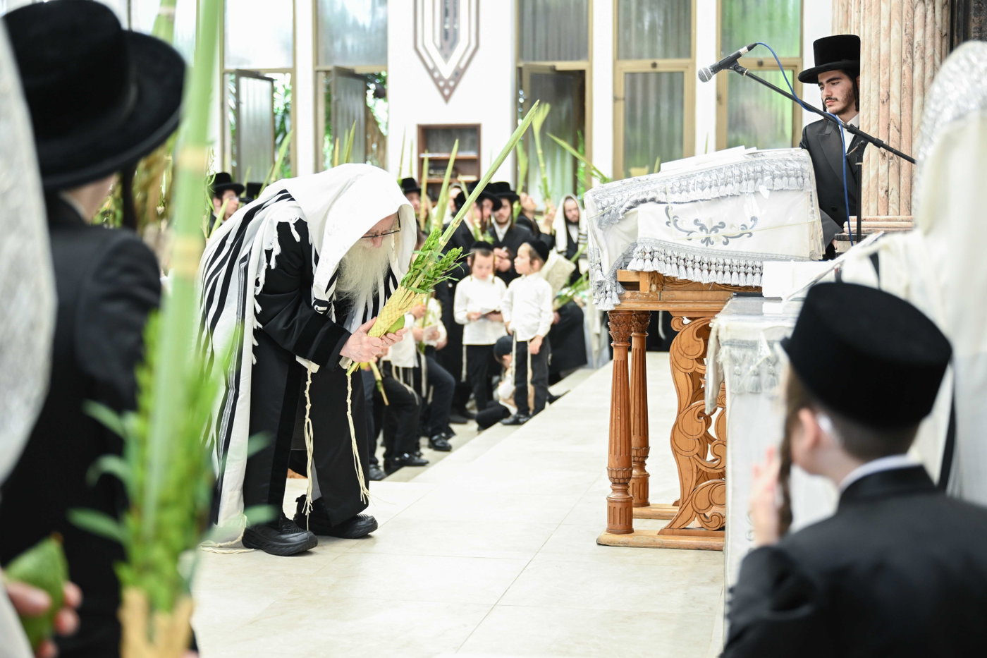 האדמו"ר מצאנז בעבודת הנענועים