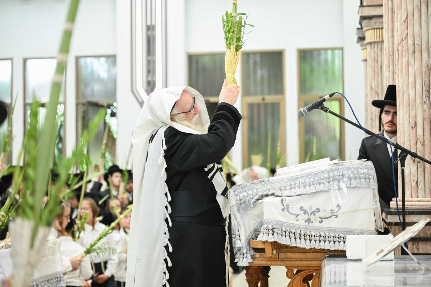 האדמו"ר מצאנז בעבודת הנענועים