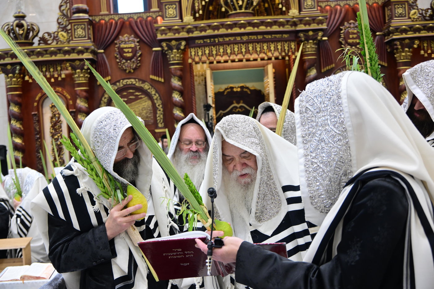 הושענא רבה בחצה"ק דארג