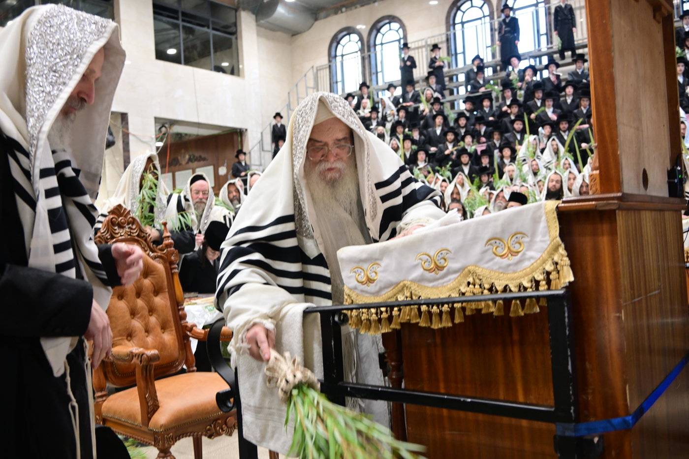 הושענא רבה בחצה"ק דארג