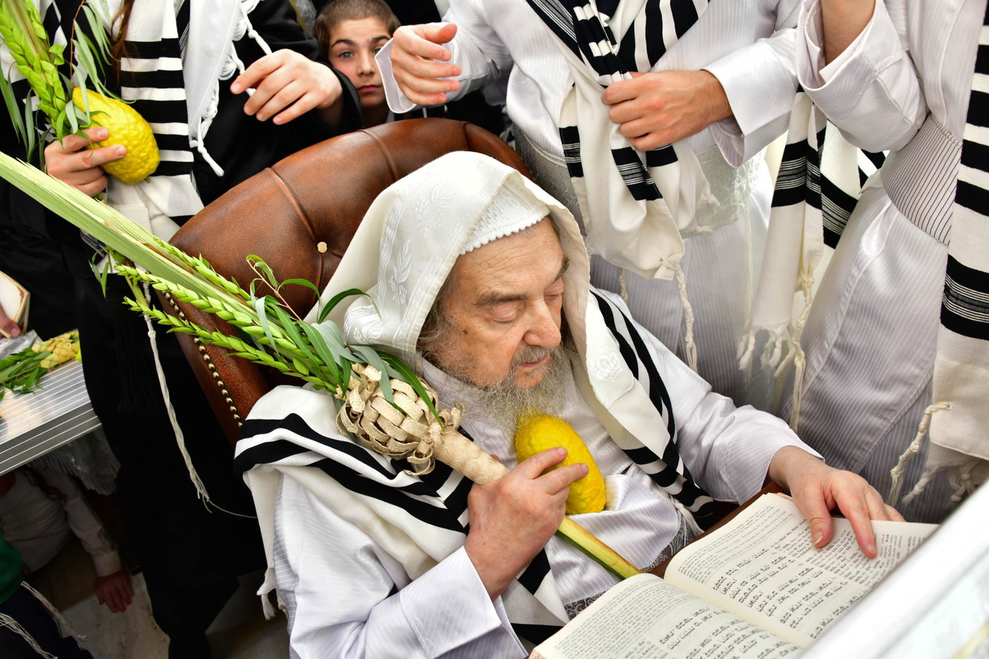 הושענא רבה אצל הגרי"מ שכטר