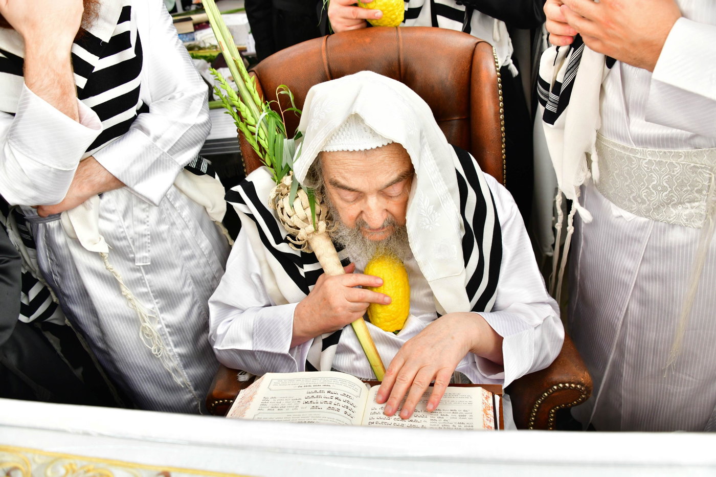 הושענא רבה אצל הגרי"מ שכטר