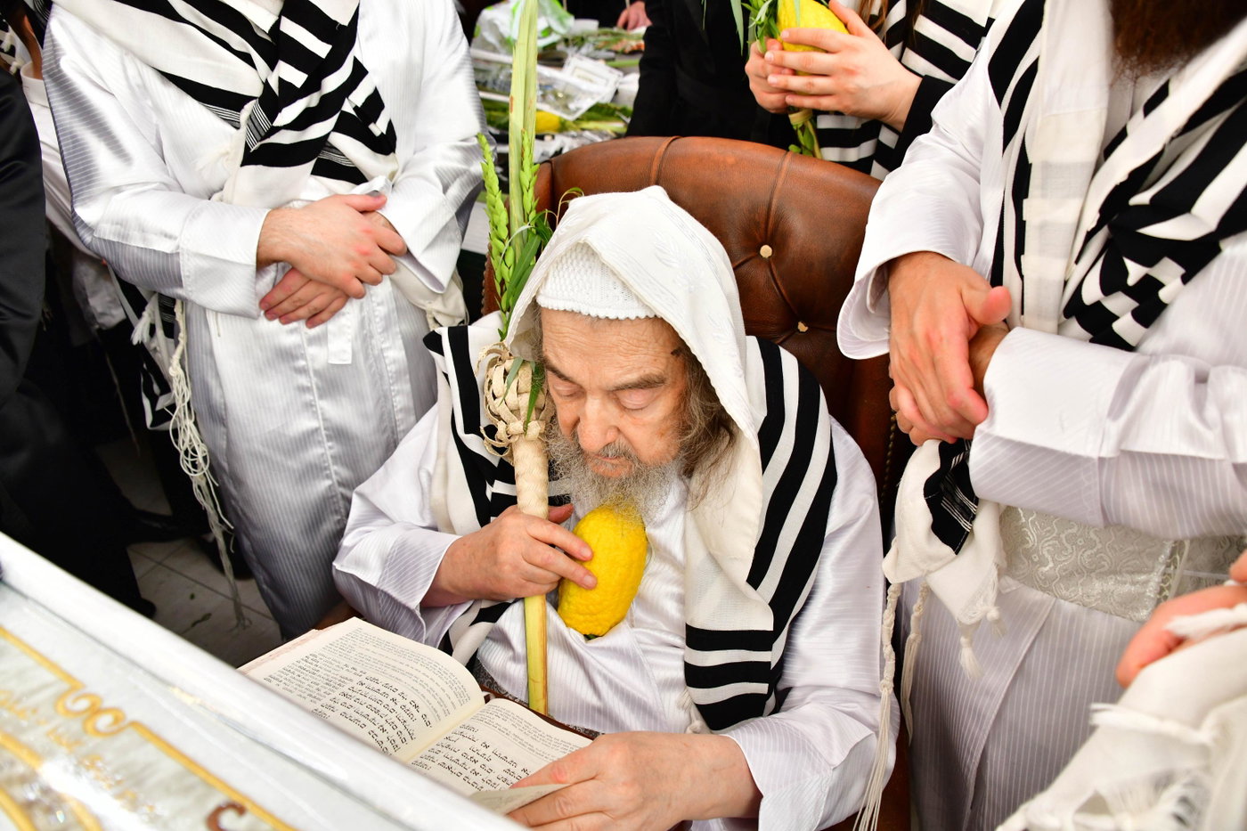 הושענא רבה אצל הגרי"מ שכטר