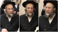 הגרי"ז סולובייצ'יק