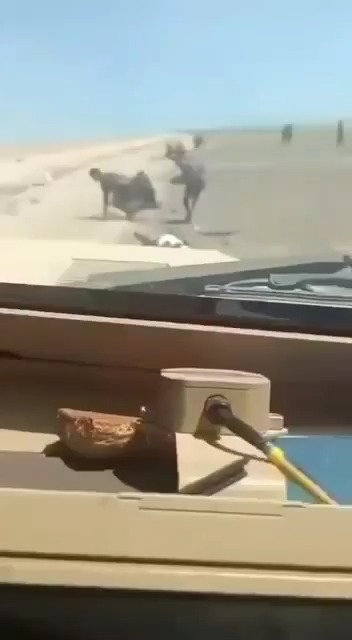 אכזריות מעולם אחר: צבא תימן רומס במשוריינים שבויים חות'ים  