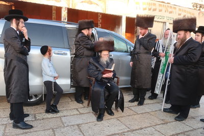 חג הסוכות בחצה"ק ערלוי