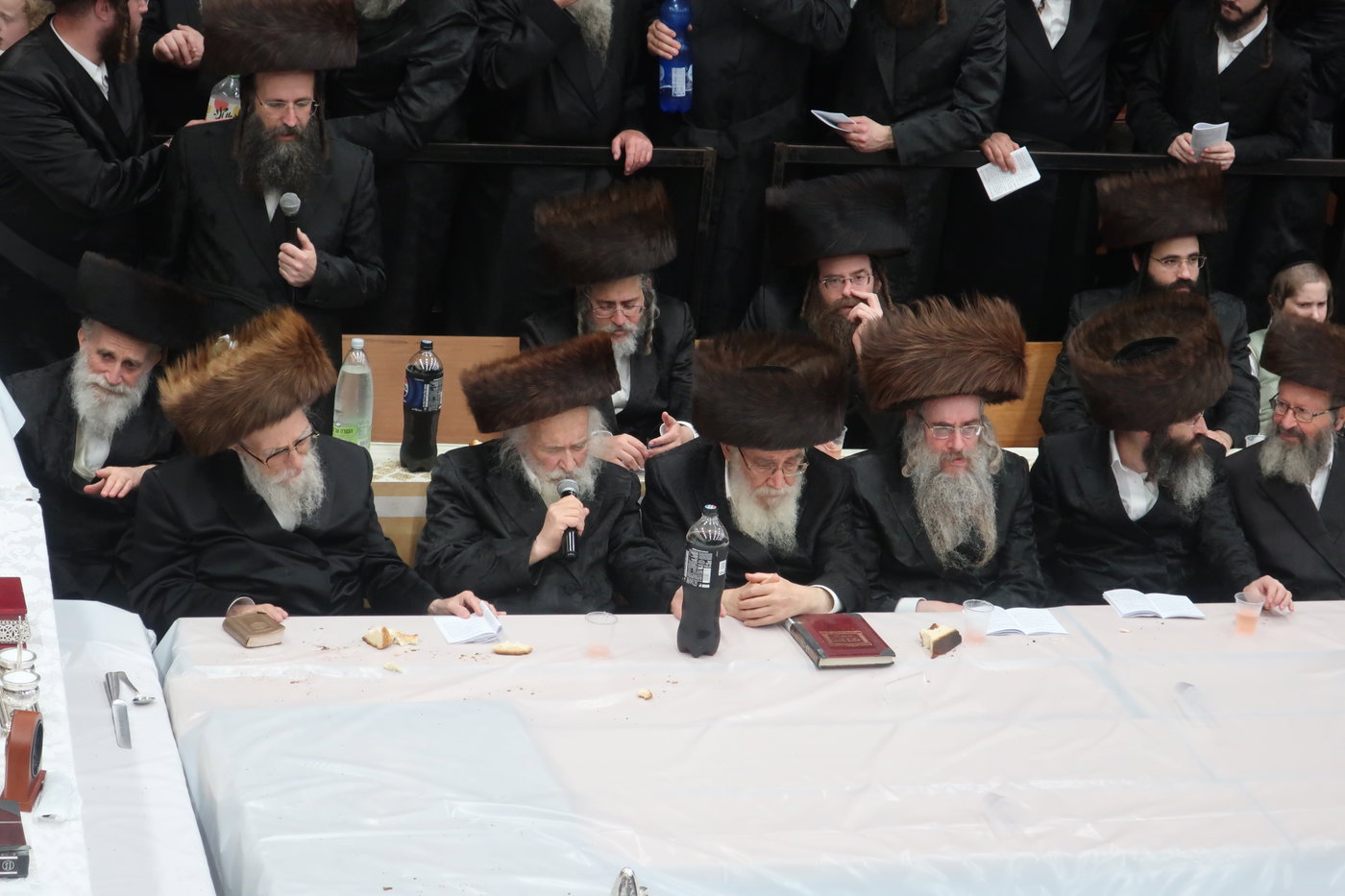 חג הסוכות בחצה"ק ערלוי