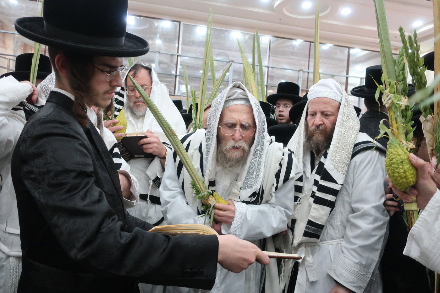 חג הסוכות בחצה"ק ערלוי