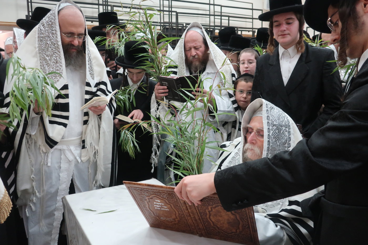 חג הסוכות בחצה"ק ערלוי