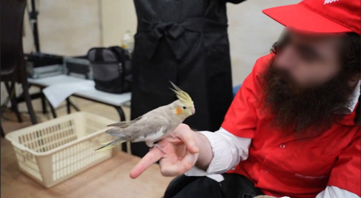 שמחת בית השואבה לילדים המיוחדים של "משפחה אחת"