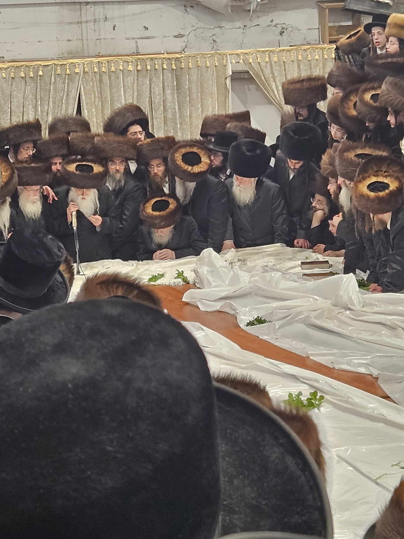 חג הסוכות של חברי הכנסת של יהדות התורה