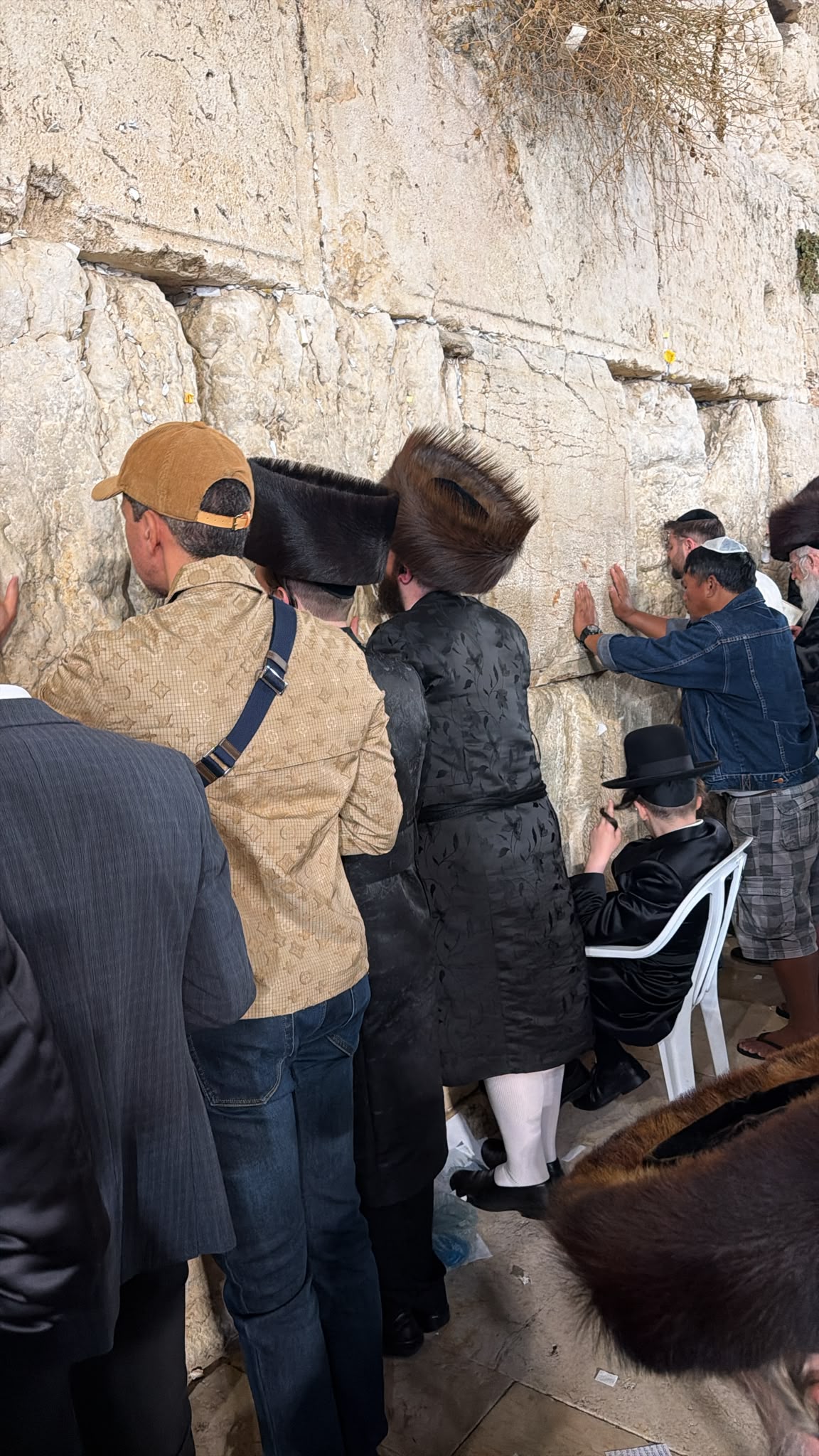 חג הסוכות של חברי הכנסת של יהדות התורה