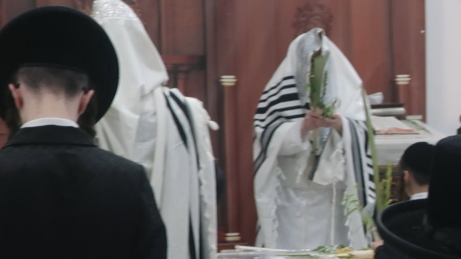 האדמו"ר מדינוב בהושענא רבה