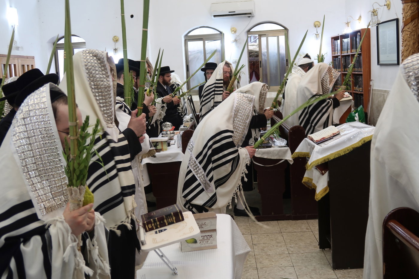 חג הסוכות בחצה"ק קרעטשניף סיגעט