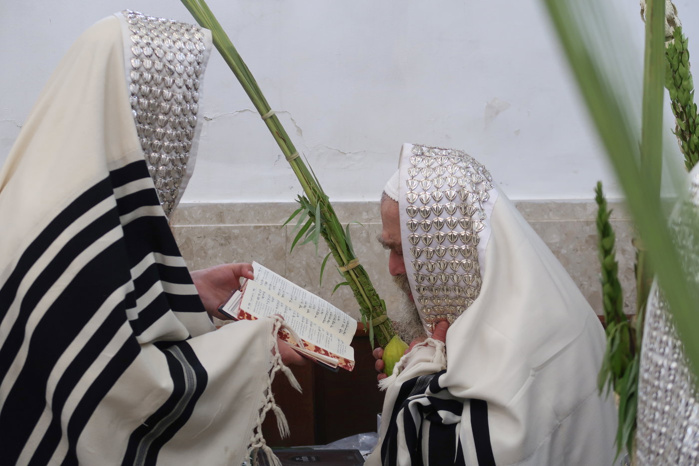 חג הסוכות בחצה"ק קרעטשניף סיגעט