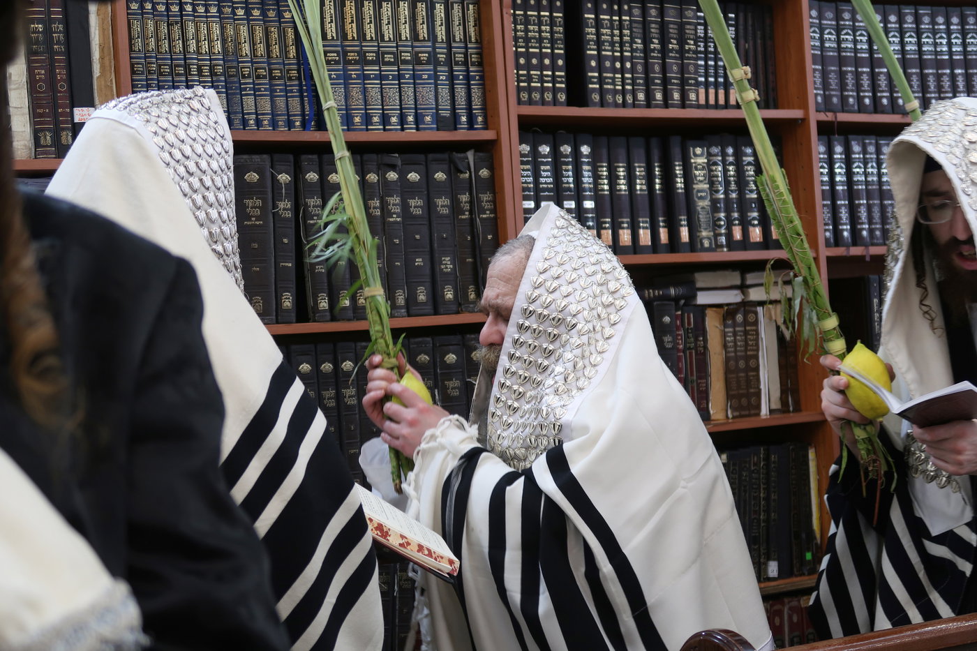 חג הסוכות בחצה"ק קרעטשניף סיגעט