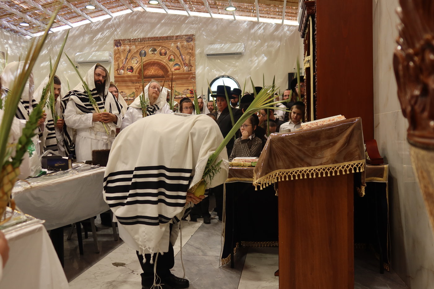 ירח האיתנים בחצה"ק זוועהיל