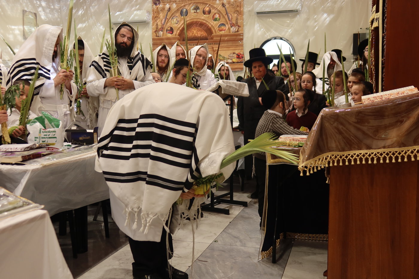 ירח האיתנים בחצה"ק זוועהיל