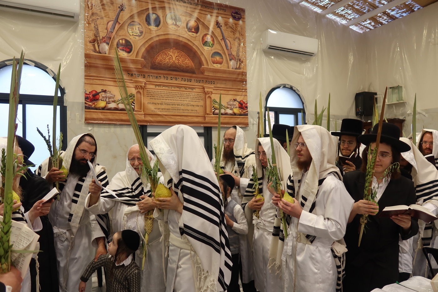 ירח האיתנים בחצה"ק זוועהיל