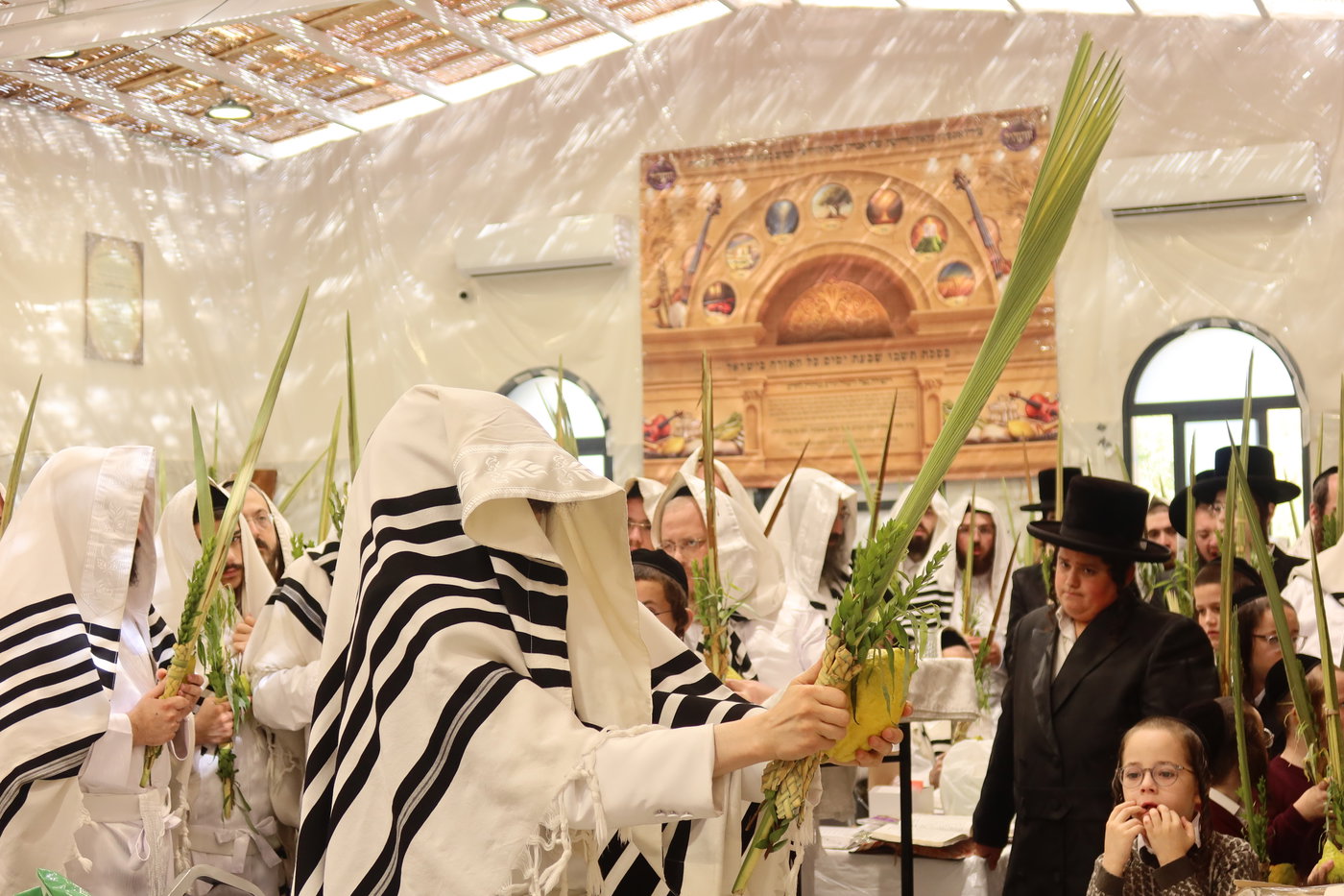 ירח האיתנים בחצה"ק זוועהיל